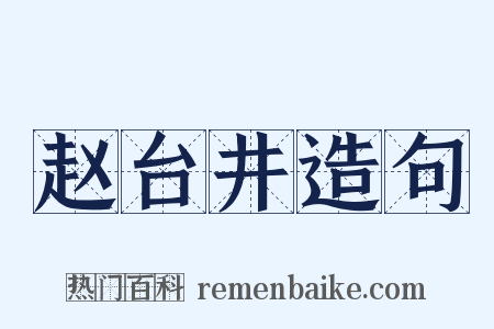赵台井造句是什么意思的图片